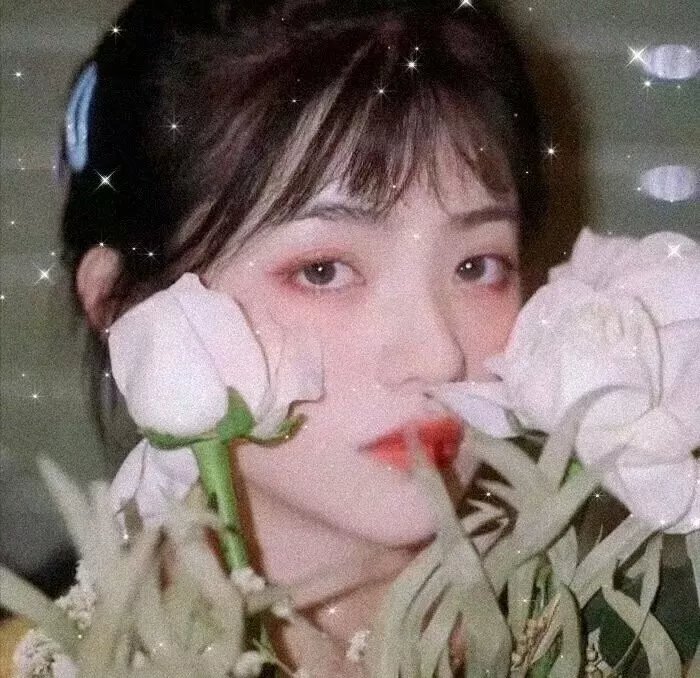 散修之王
